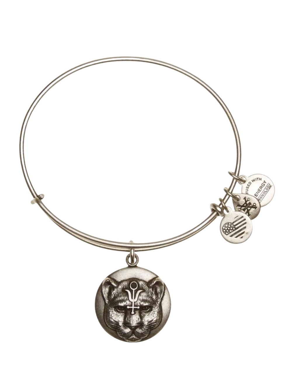 RETIRED! Alex and Ani Wild Heart Charm Bangle Bracelet - Silver & Crystal Accent